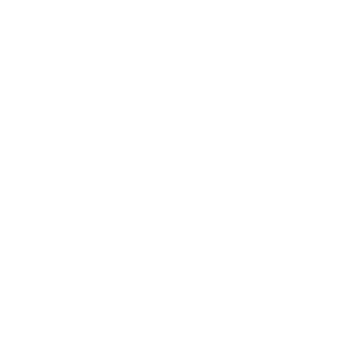 Flexi